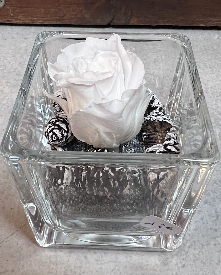 Petite rose blanche avec des petites pommes de sapins – Naturélément
