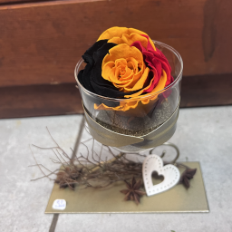 Rose stabilisée tricolore – Naturélément